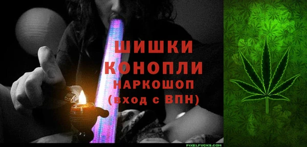 молекула духа Балахна