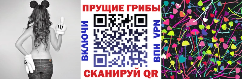 Псилоцибиновые грибы Psilocybe что такое Рассказово